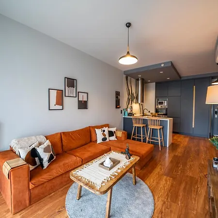 Beyoglu Benesta Residence, 1 Bedroom No-37 Istanbul